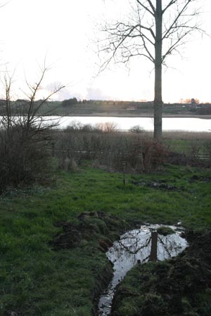 hjarbæk (15)